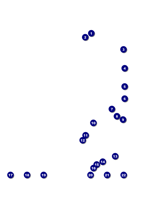 Retro Sunburst Logo Flyer Front Field Markers
