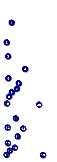 Steak & Beer Event Ticket Front Field Markers