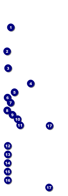 Steak & Beer Raffle Ticket Front Field Markers