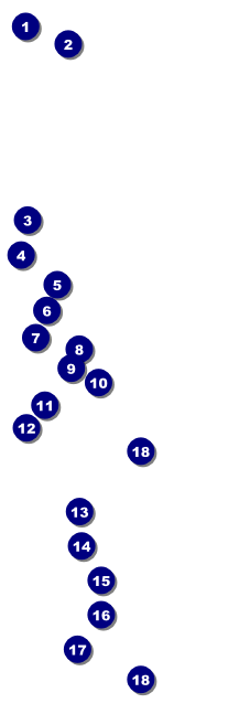 Midsummer Night's Dream Raffle Ticket Front Field Markers