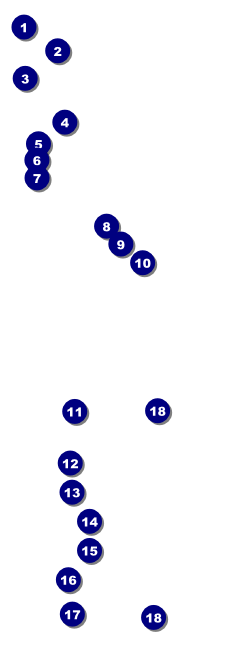 Dinosaur Illustrated Raffle Ticket Front Field Markers