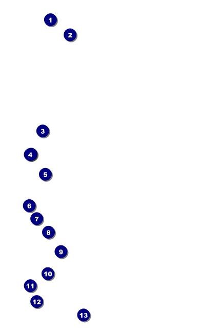 Bowling League Drink Ticket Front Field Markers