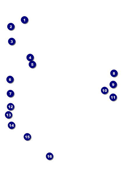 San Jose Drink Ticket Front Field Markers