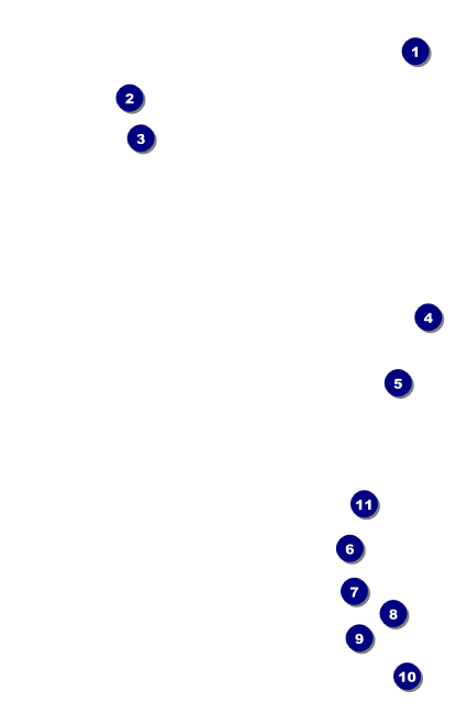 Birthday Party Drink Ticket Front Field Markers