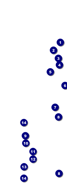 Graduation Raffle Ticket Front Field Markers