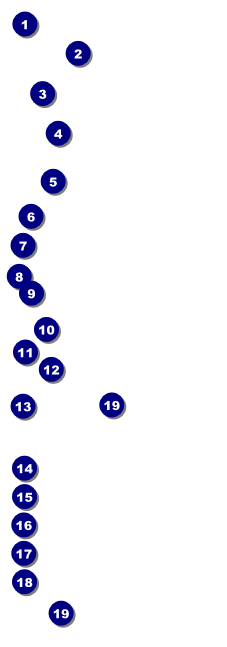 All Purpose Blue Raffle Ticket Front Field Markers