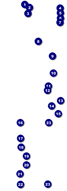 All Purpose Retro Raffle Ticket Front Field Markers