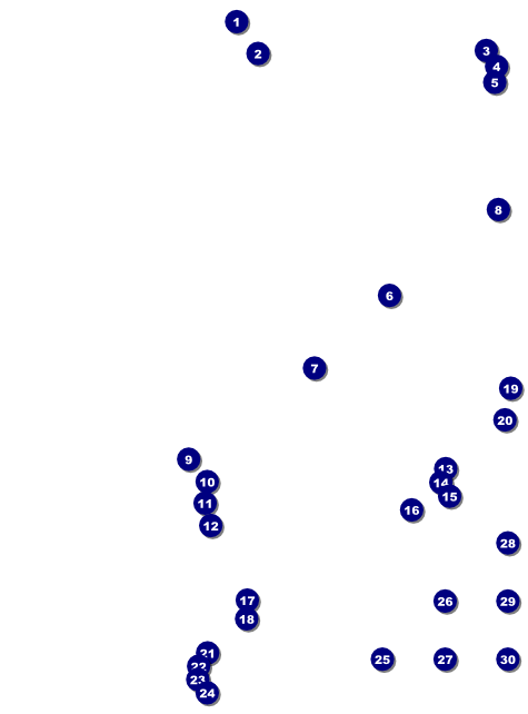Anime Logo Flyer Front Field Markers