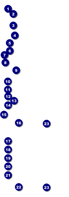 Oral Cancer Raffle Ticket Front Field Markers