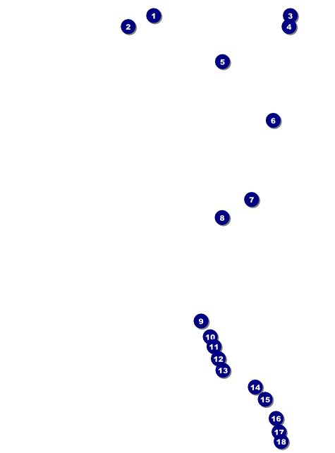 Hollywood Skyline Flyer Front Field Markers