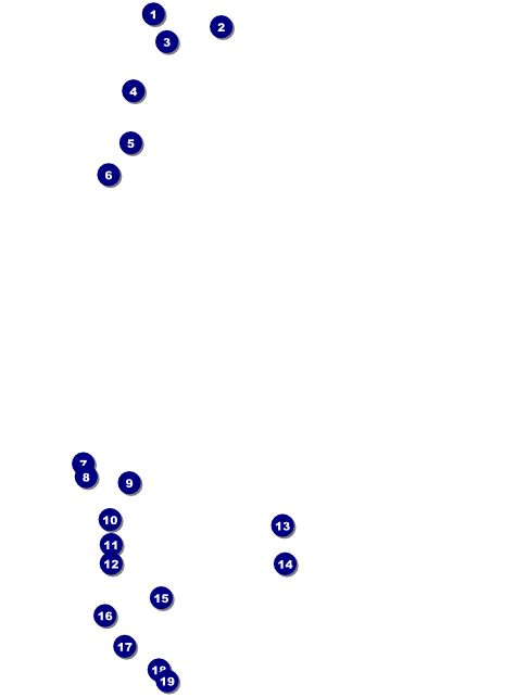 Army Flyer Front Field Markers