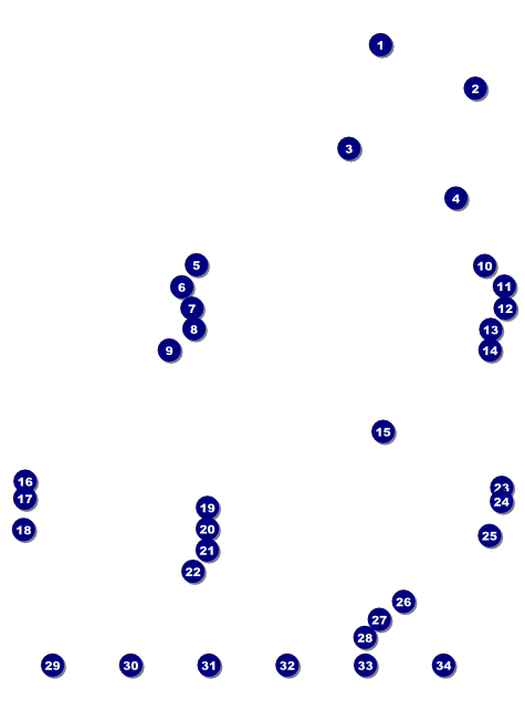 Norwegian Logo Flyer Front Field Markers