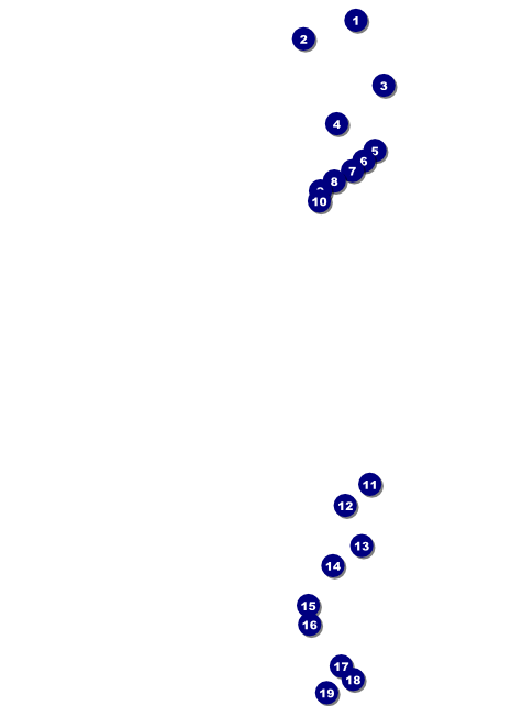 Spanish Flag Flyer Front Field Markers