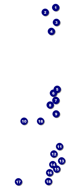 Spanish Flag Event Ticket Front Field Markers