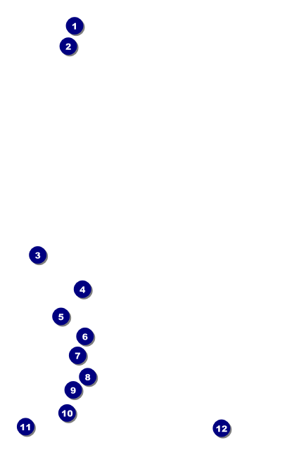 Speed Dating Drink Ticket Front Field Markers