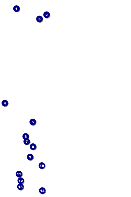 Speed Dating Poster Front Field Markers