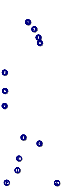 Puerto Rico Flag VIP Pass Front Field Markers
