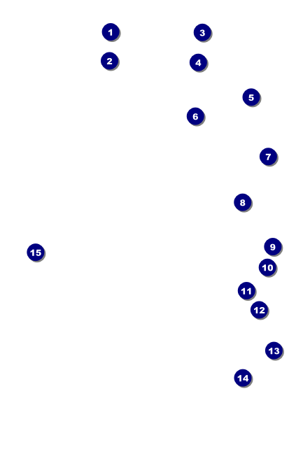 Car Racing Economy Event Badge Front Field Markers