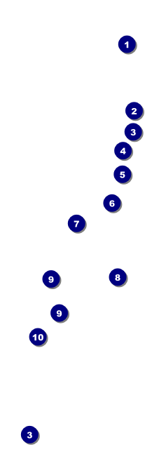 Fourth of July Event Ticket Front Field Markers