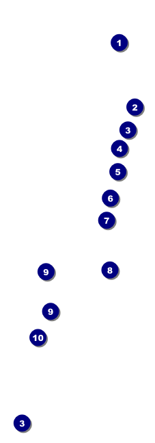 Holiday Lights Event Ticket Front Field Markers