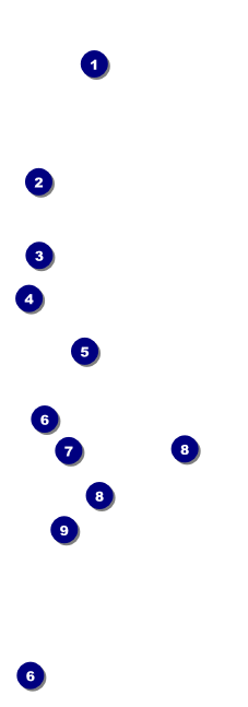 Vineyard Event Ticket Front Field Markers