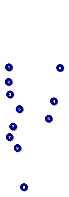 Cherry Blossom Event Ticket Front Field Markers
