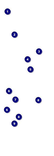 Dinosaur Illustrated Event Ticket Front Field Markers
