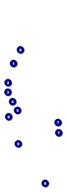 Golden Ornament Event Ticket Front Field Markers