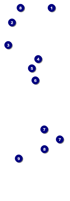 Martial Arts Event Ticket Front Field Markers