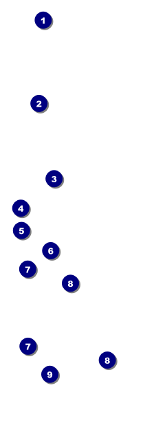 Mexican Fiesta Event Ticket Front Field Markers