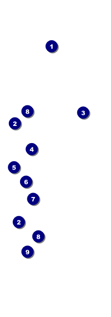 Golf Water Hazard Event Ticket Front Field Markers