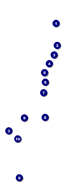 Holiday Snowflake Event Ticket Front Field Markers