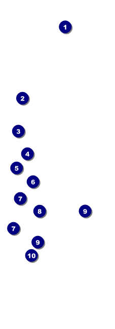 St. Patrick's Day Party Event Ticket Front Field Markers
