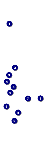 Prism Tree Event Ticket Front Field Markers