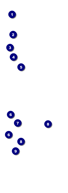 Dandelion Event Ticket Front Field Markers