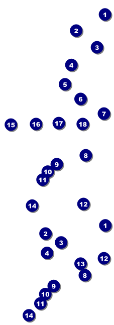 Champagne Lights Reserved Event Ticket Front Field Markers