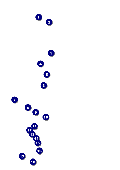 All Purpose Skyline Black and White Postcard Front Field Markers