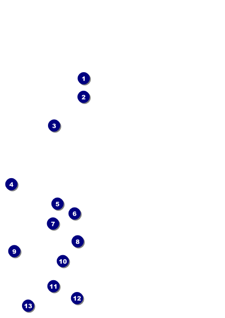 Fall Leaves Postcard Front Field Markers