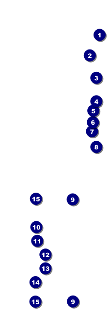 Spring Festival 3 Raffle Ticket Front Field Markers