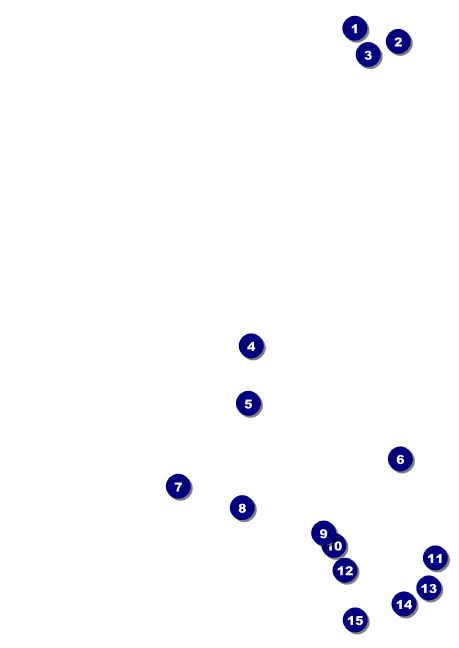 Chinese New Year Pig Postcard Front Field Markers