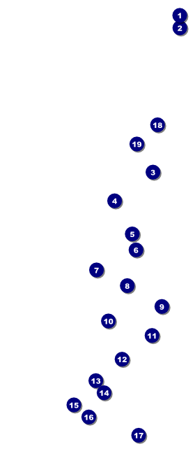 Chinese New Year Dog VIP Pass Front Field Markers