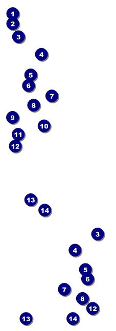 Chinese New Year Ox Event Ticket Front Field Markers