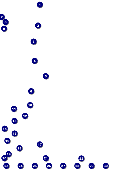 Modern Rodeo Green Poster Front Field Markers