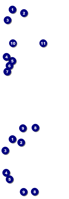 Raas Garba Event Ticket Front Field Markers