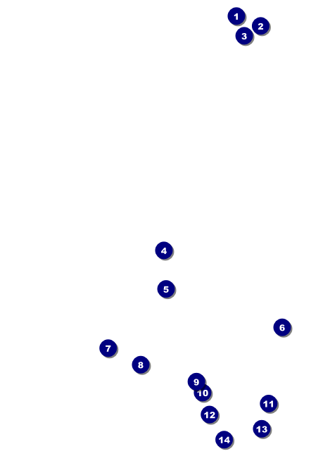 Chinese New Year Tiger Postcard Front Field Markers