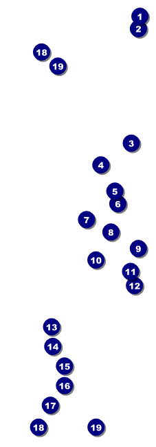Chinese New Year Rabbit Raffle Ticket Front Field Markers