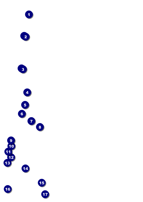 Black Friday Postcard Front Field Markers