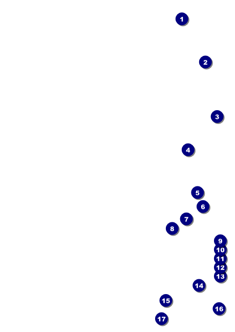 Black Friday Postcard Front Field Markers