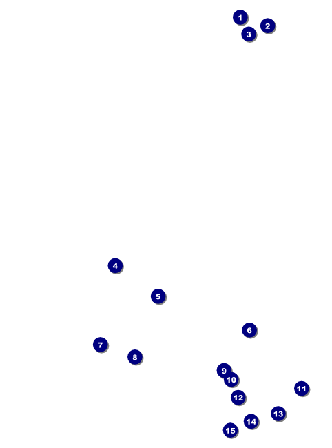 Chinese New Year Flyer Front Field Markers