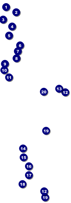 Your Image Raffle Ticket 0007 (black & white) Front Field Markers